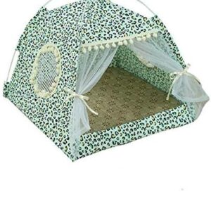 51lbagn kll. ac .jpg